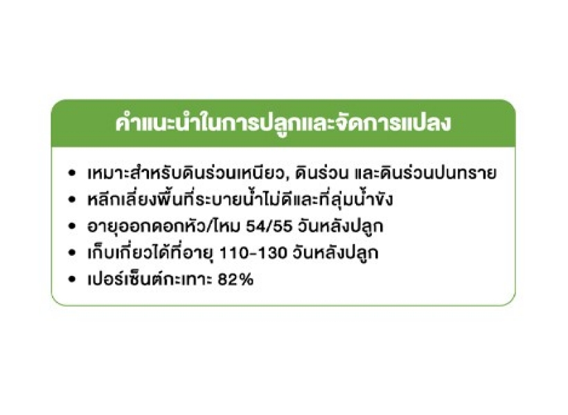 คำแนะนำในการปลูกและจัดการแปลง