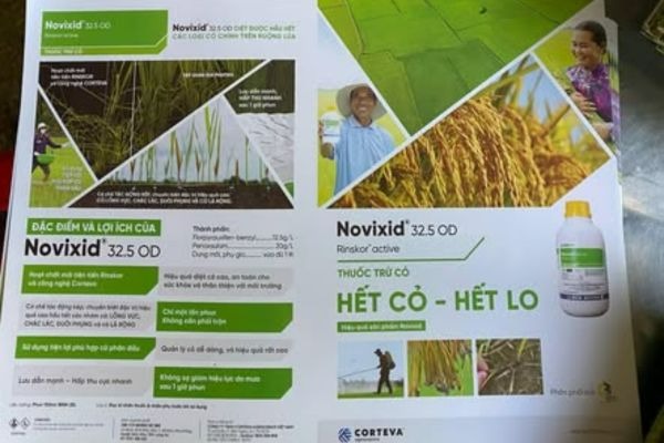 Lợi ích của dòng thuốc trừ cỏ Novixid đến từ thương hiệu Corteva