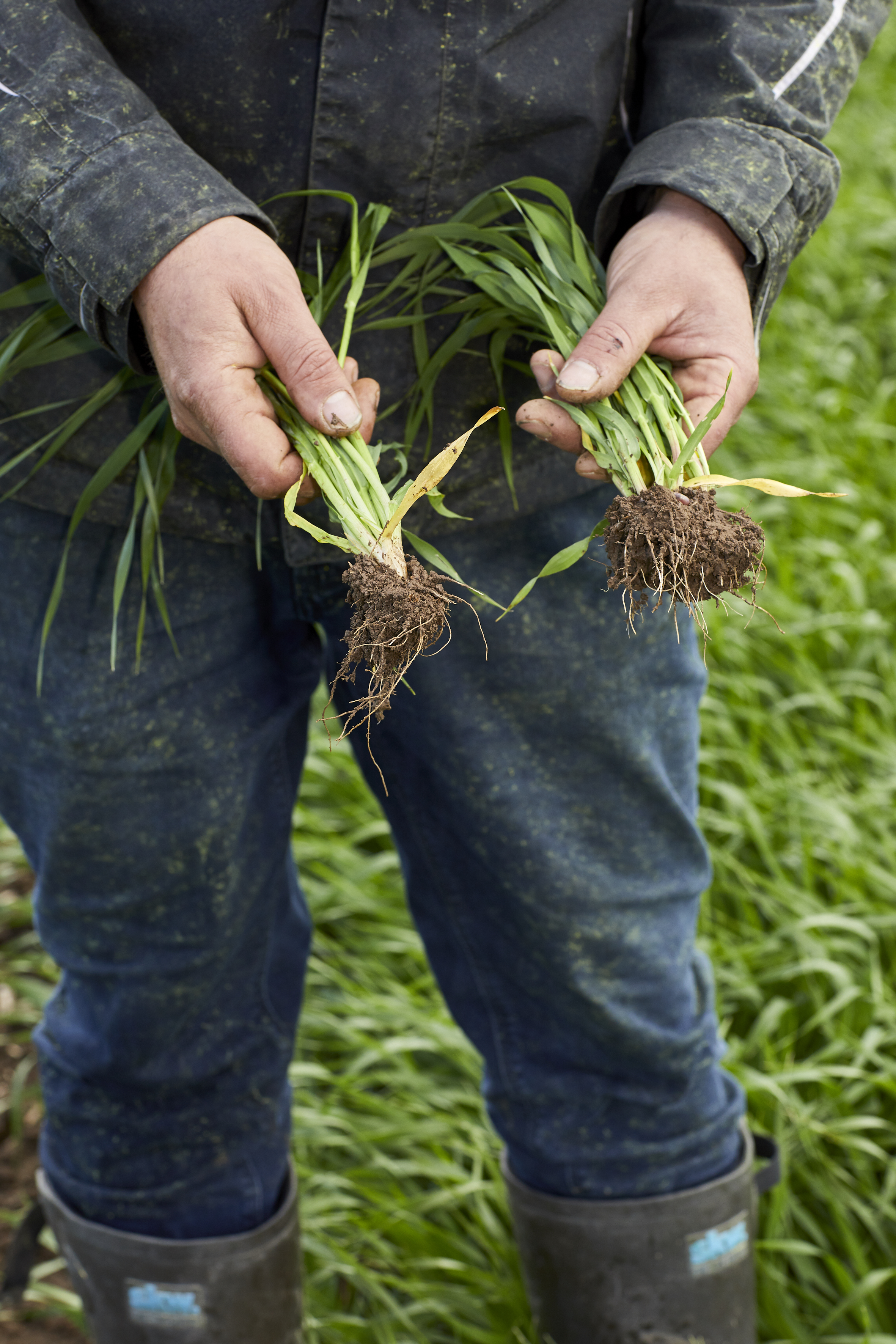 IMG-Biologicals_Slide_1_Embrace_a_balanced_future_image-Corteva-EU_DE-V1