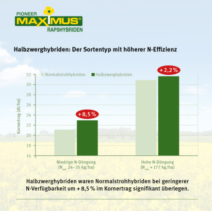 Maximus höhere N-Nutzungseffizienz