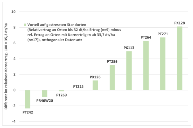 Trockenstress-Toleranz Raps Maximus