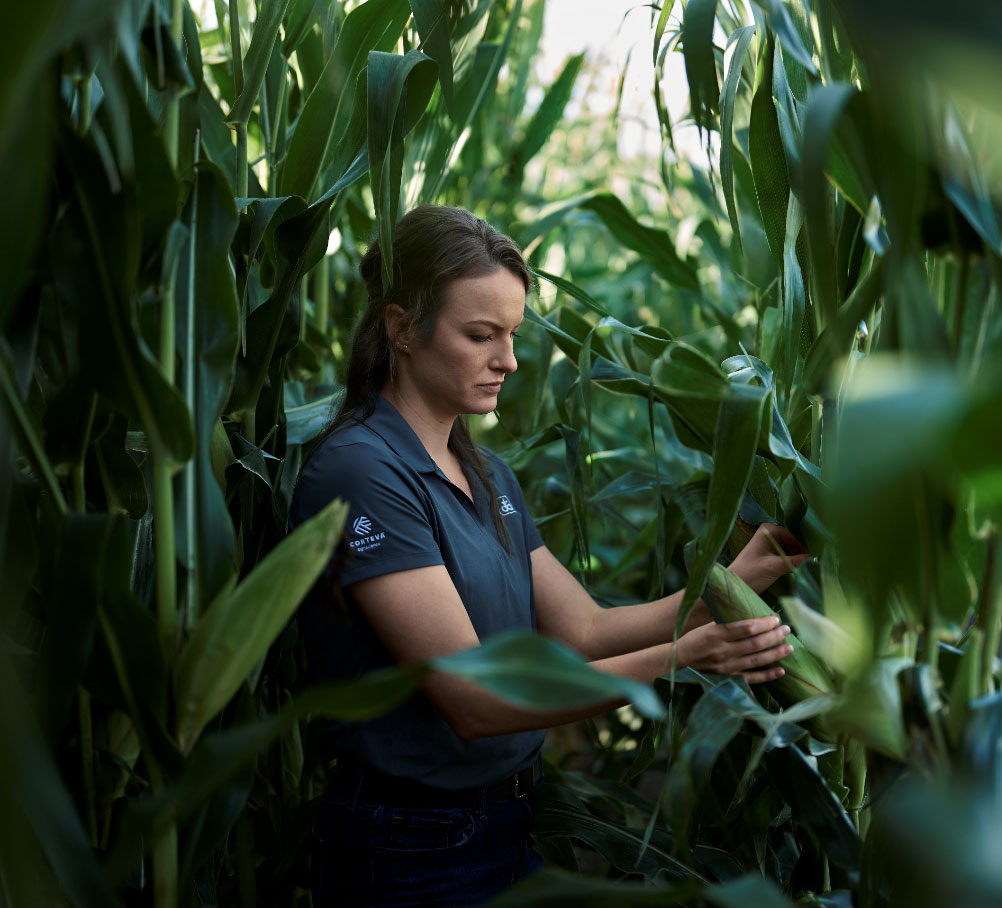 Nos champs d’action : durabilité