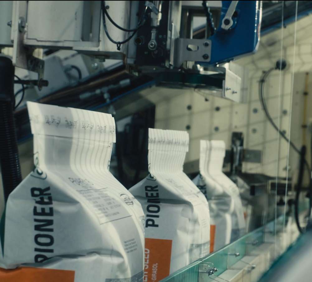 Nos champs d’action : semences