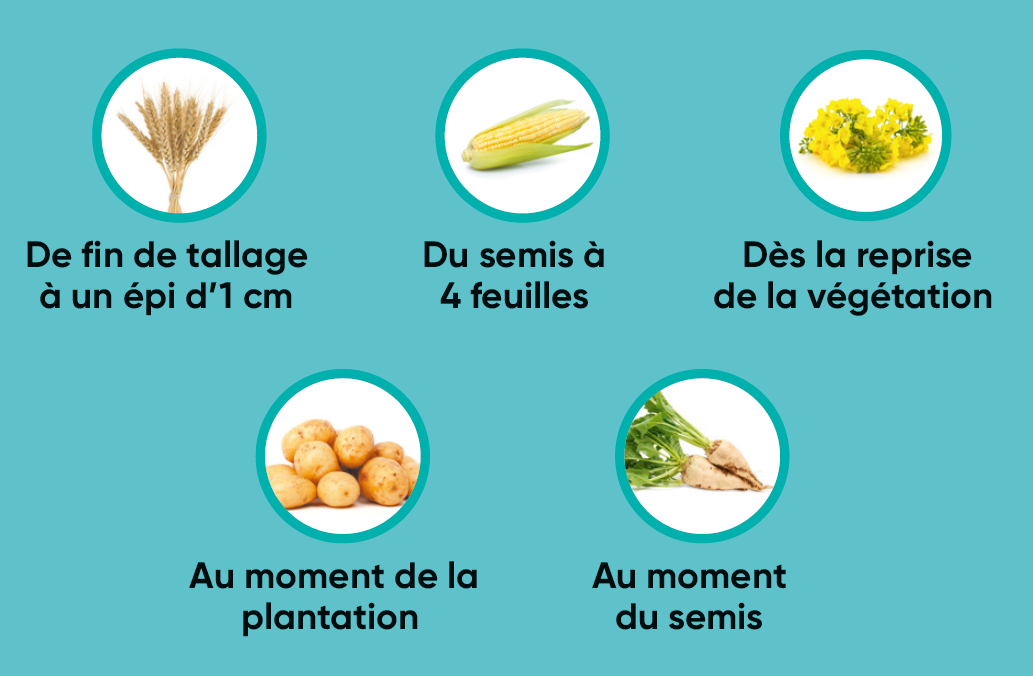 Mode d'action