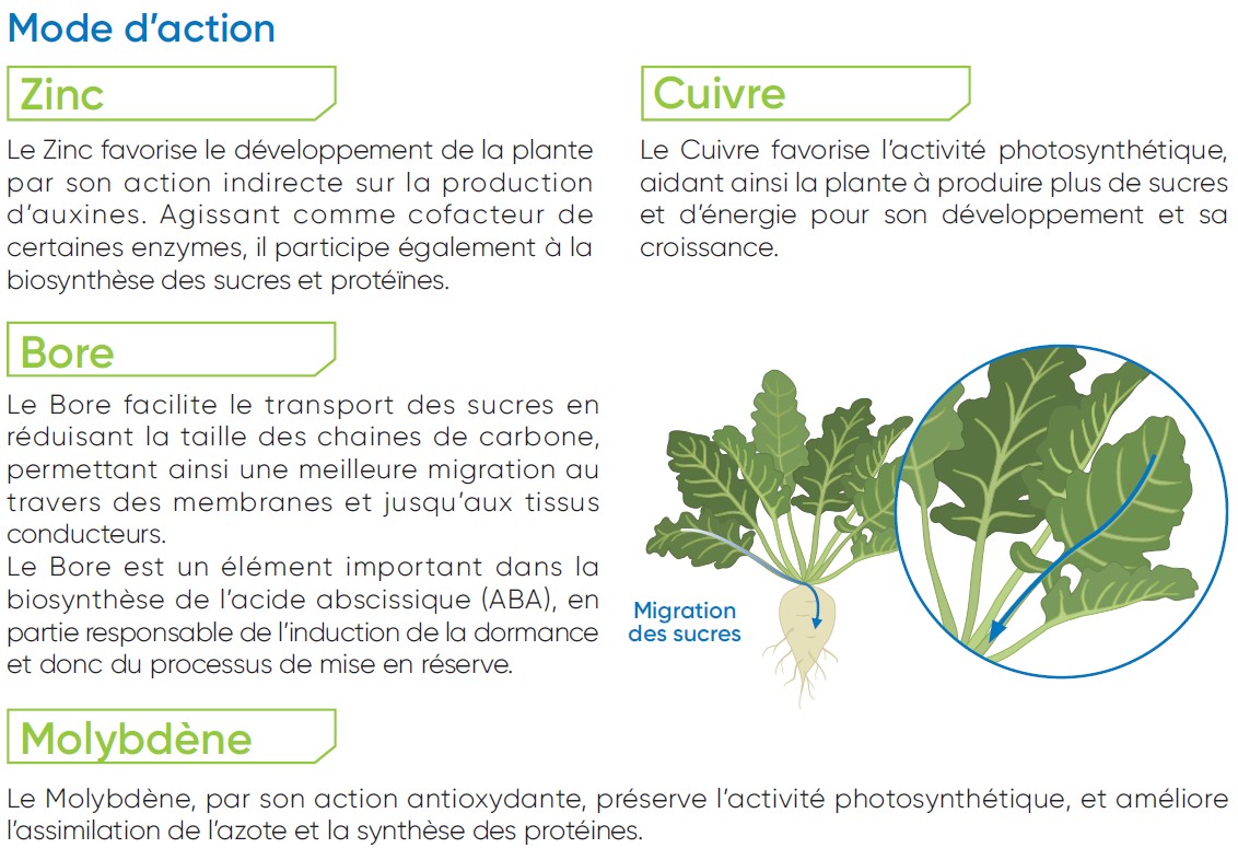 Mode d'action