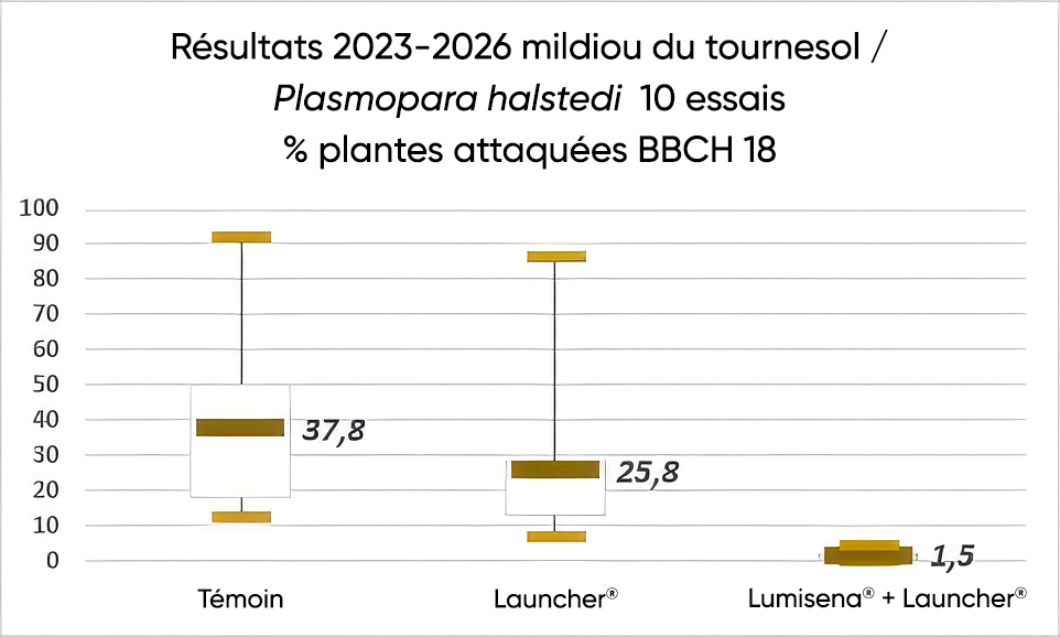 Résultats 2023-2026 mildiou du tournesol