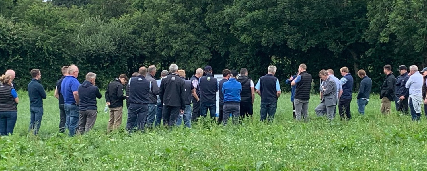 Grassland Innovation Platform