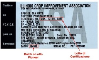 cartellino americano