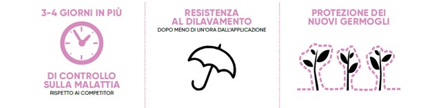 infografica sui benefici di zorvec active