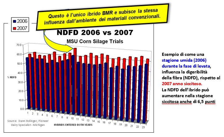 grafico sulla digeribilità dell'amido BMR