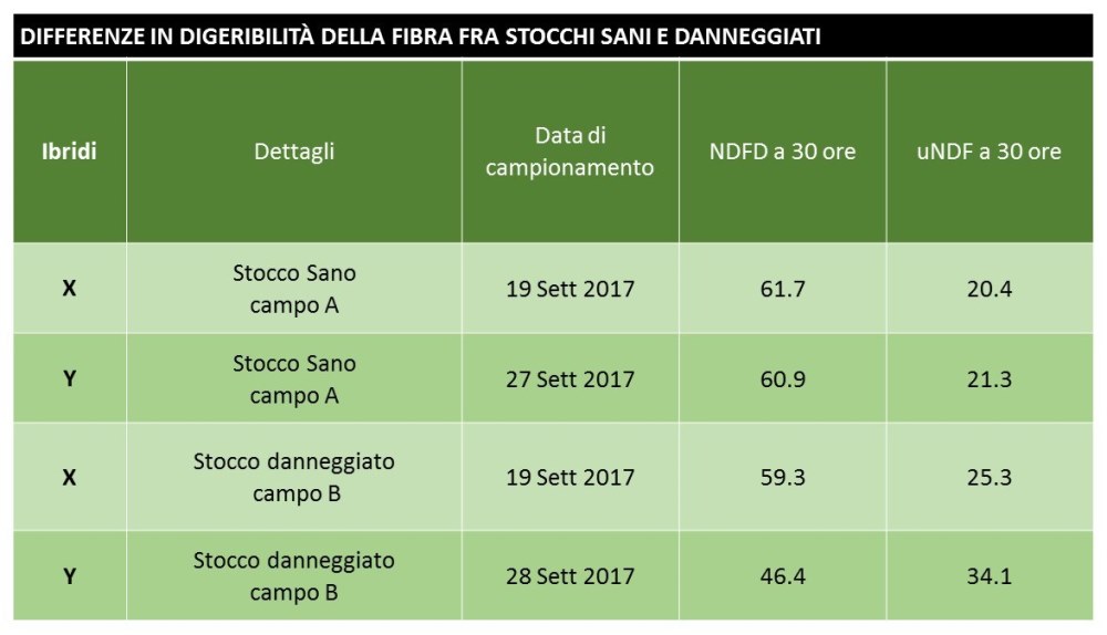 grafico sulla digeribilità dell'amido BMR