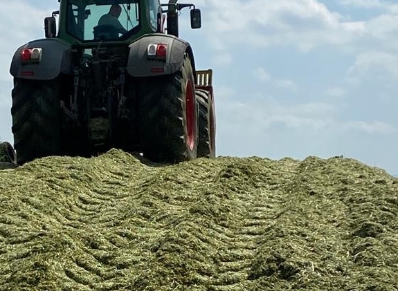 immagine di trinciatura e insilamento