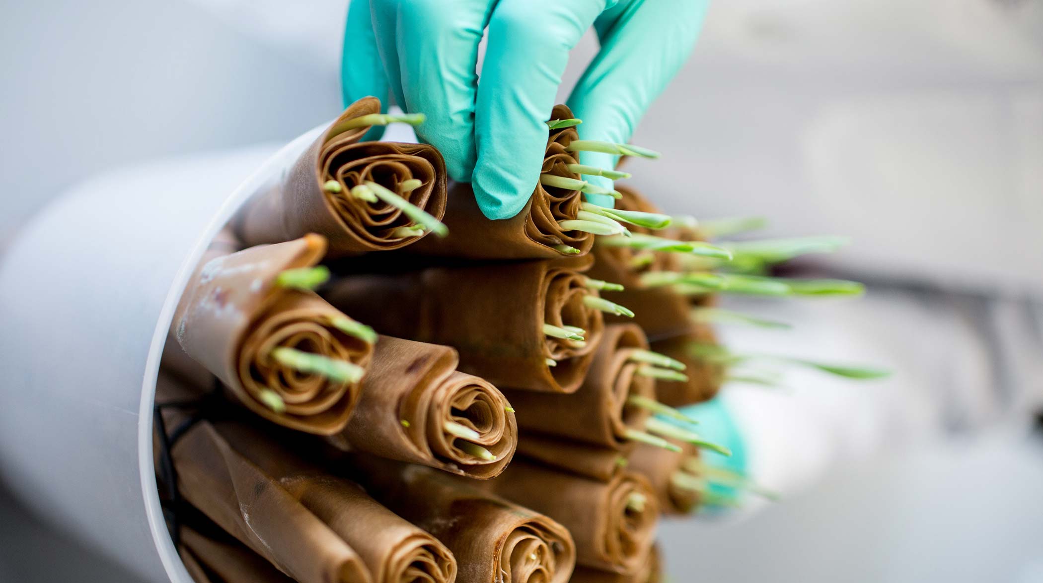 laboratorio di ricerca