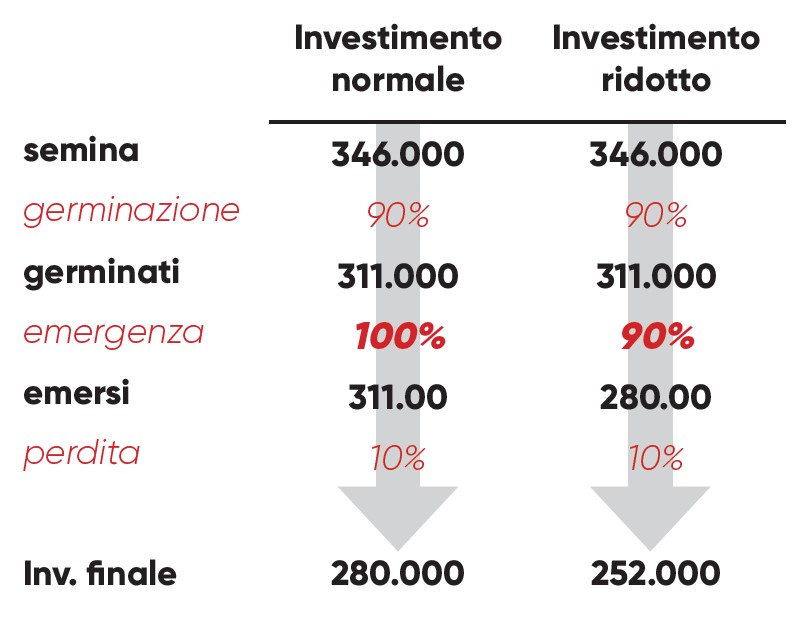 densità di semina della soia