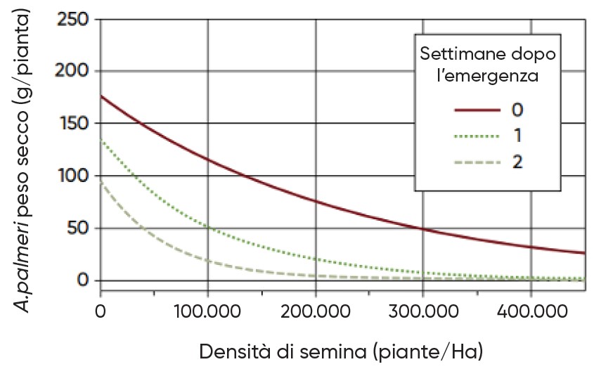 effetto della densità