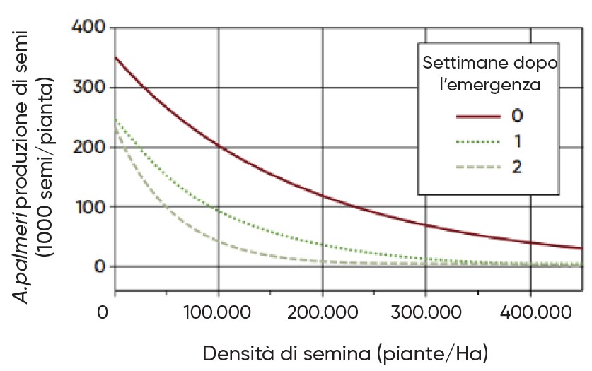 effetto della densità