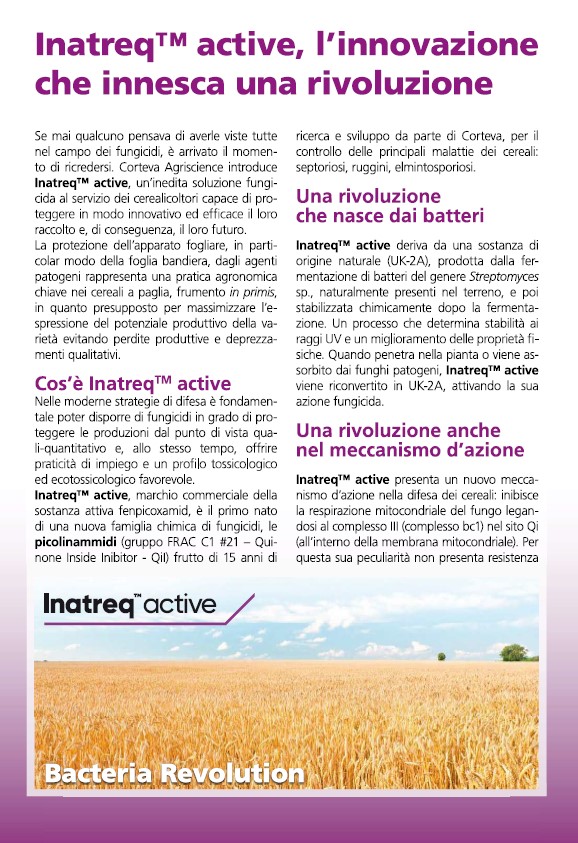 Immagine di anteprima dell'articolo