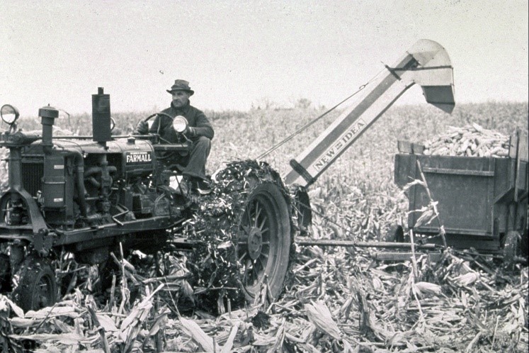 immagine storica del mais e della maiscoltura