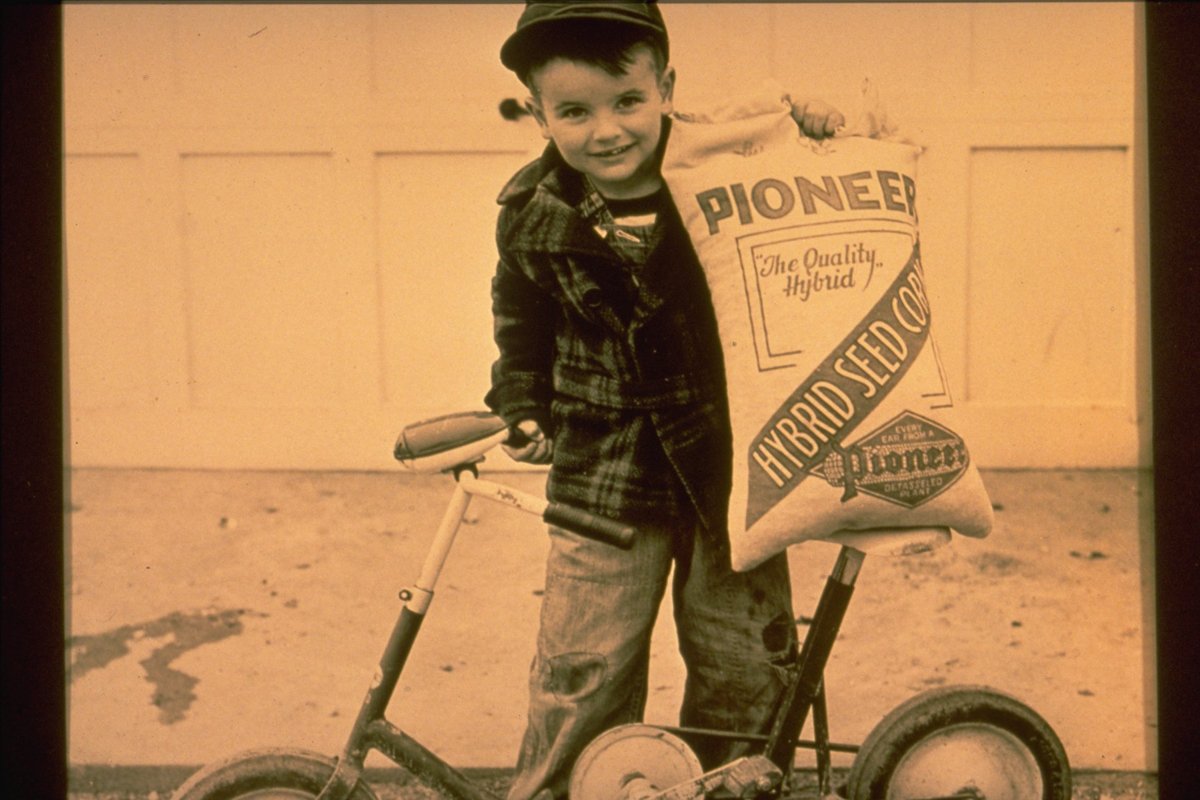 immagine storica del mais e della maiscoltura