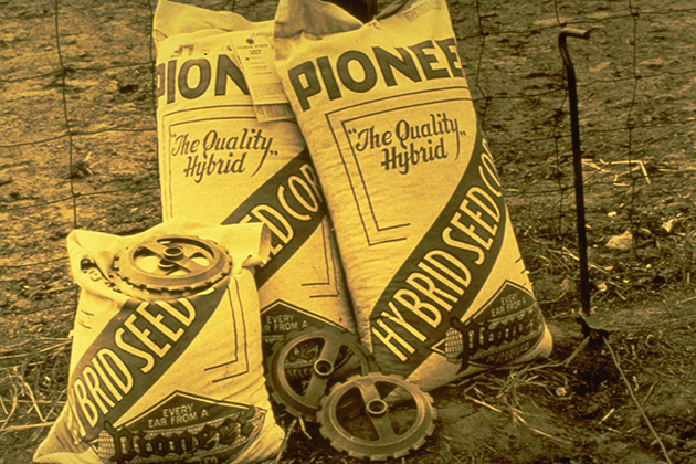 immagine storica del mais e della maiscoltura