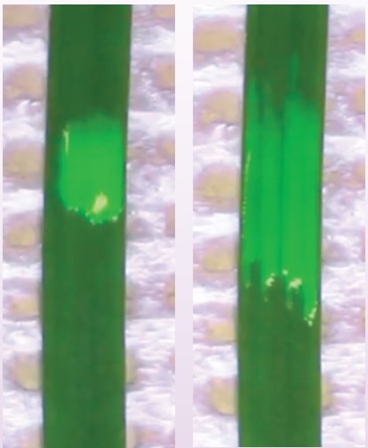 Inatreq active e tecnologia i-Q4