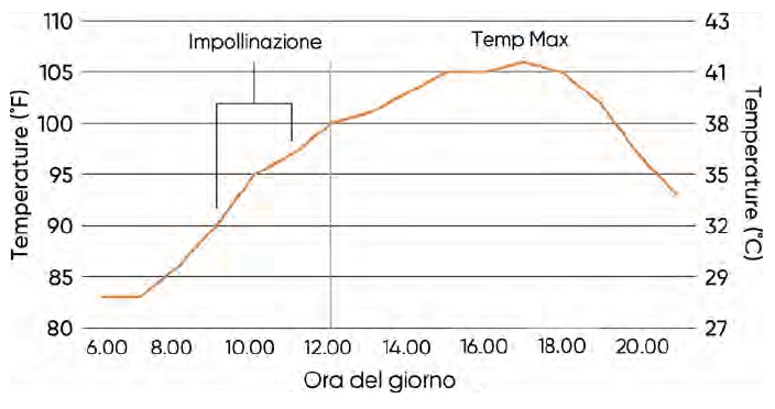 dati ed effetti dello stress da caldo sul mais