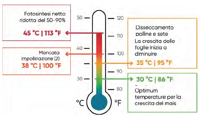 dati ed effetti dello stress da caldo sul mais