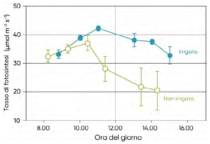 dati ed effetti dello stress da caldo sul mais