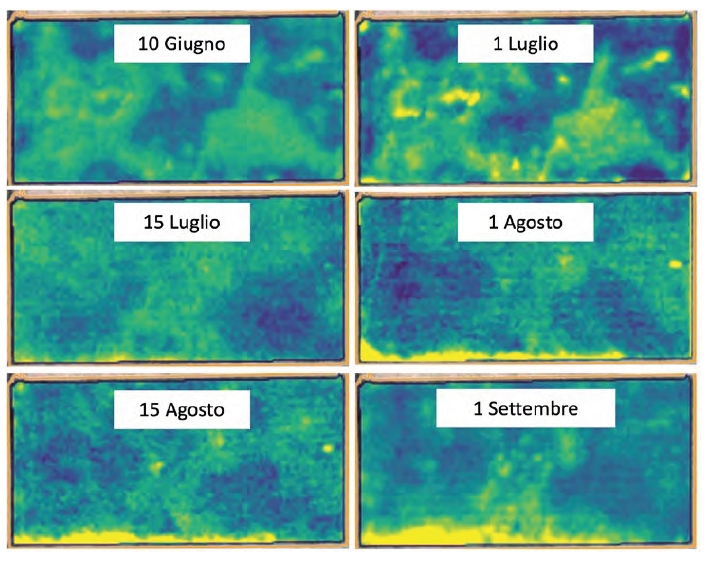 dati ed effetti dello stress da caldo sul mais