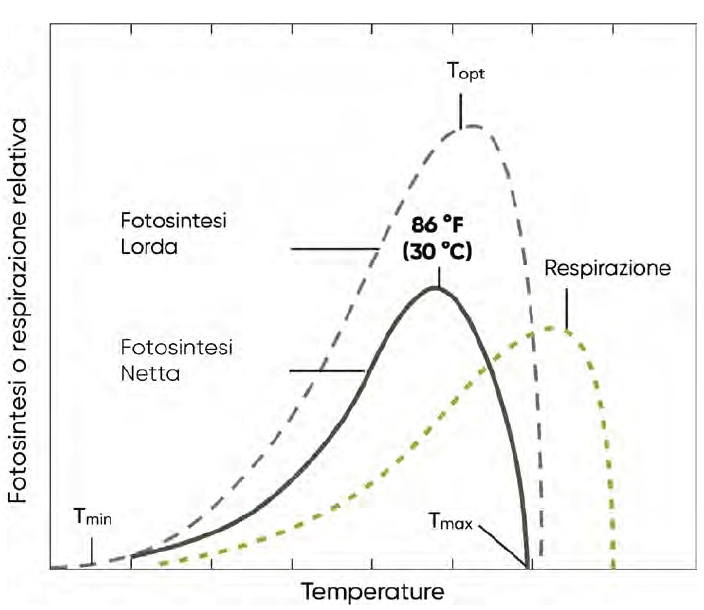 dati ed effetti dello stress da caldo sul mais