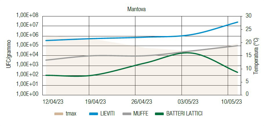 Conta delle Unità formanti colonia per grammo di pianta, prelevato nelle ultime 7 settimane prima della trinciatura. Esempio riferito a una prova condotta a Mantova
