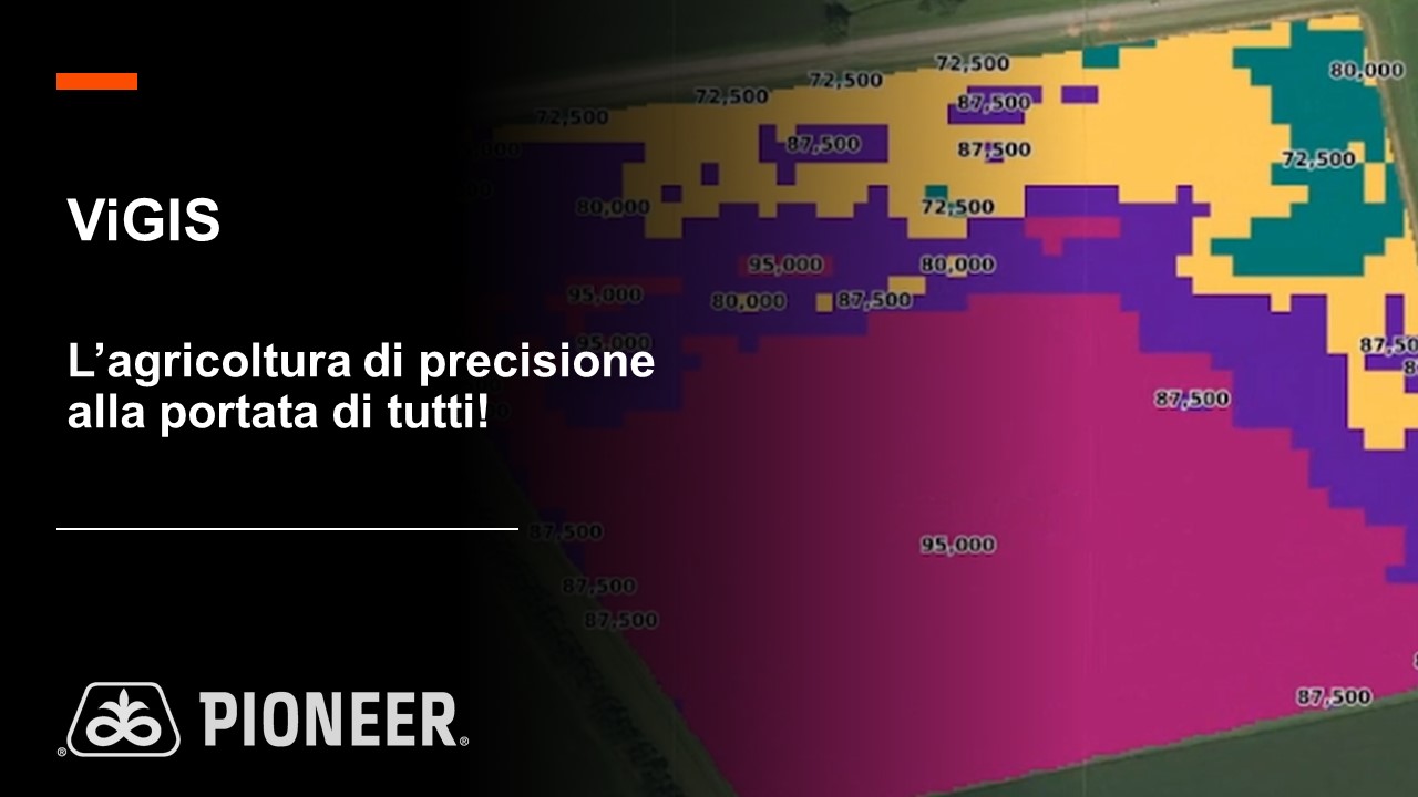 Immagine di anteprima del video