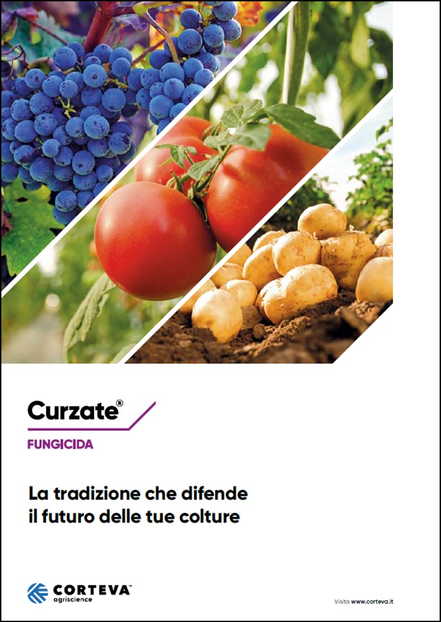 Anteprima della brochure dei fungicidi Curzate