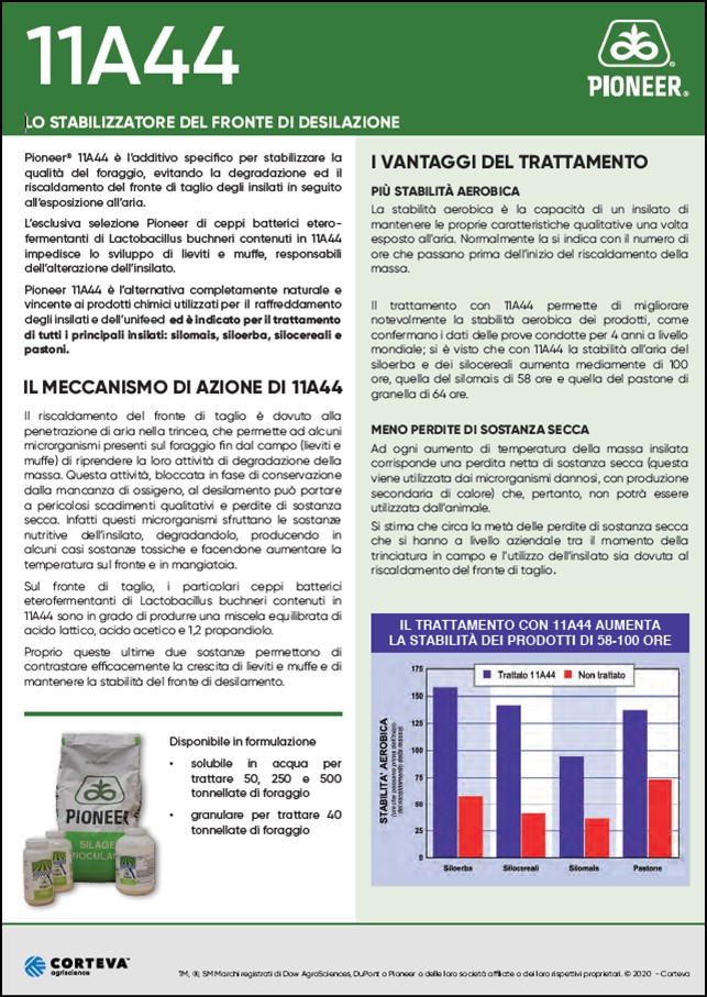anteprima del volantino dell'additivo 11A44