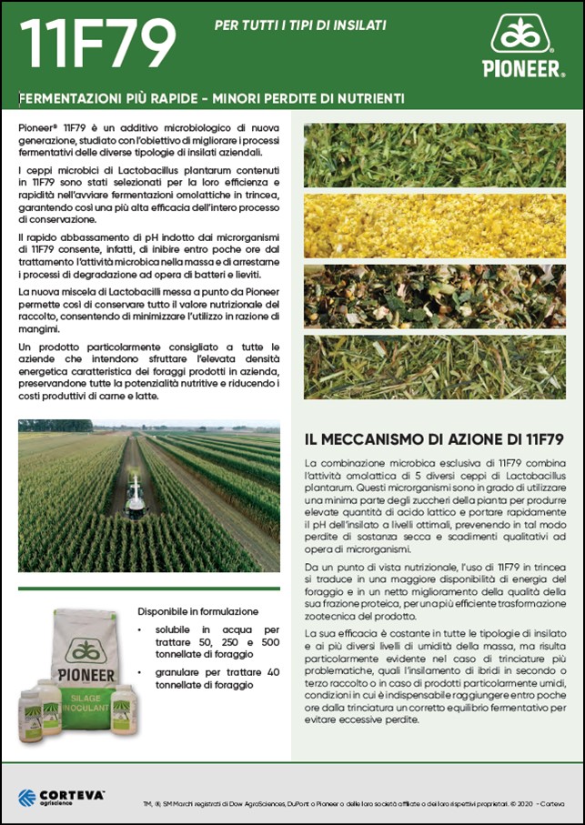 anteprima del volantino dell'additivo 11F79