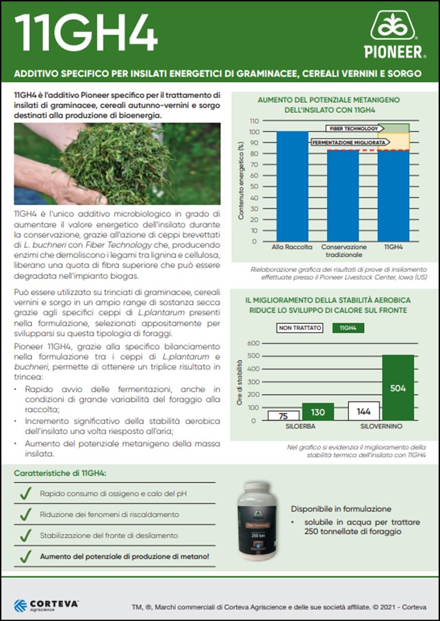 anteprima del volantino dell'additivo microbiologico Pioneer 11GH4