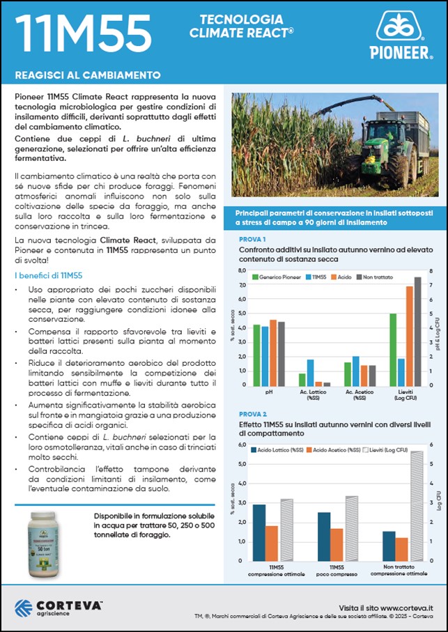 anteprima del volantino dell'additivo microbiologico Pioneer 11M55