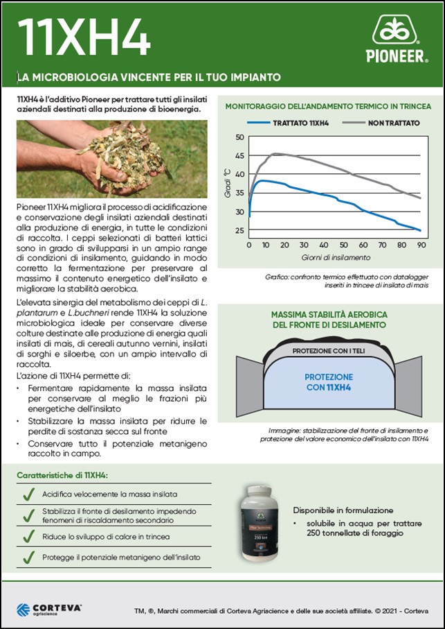 anteprima del volantino dell'additivo microbiologico Pioneer 11XH4