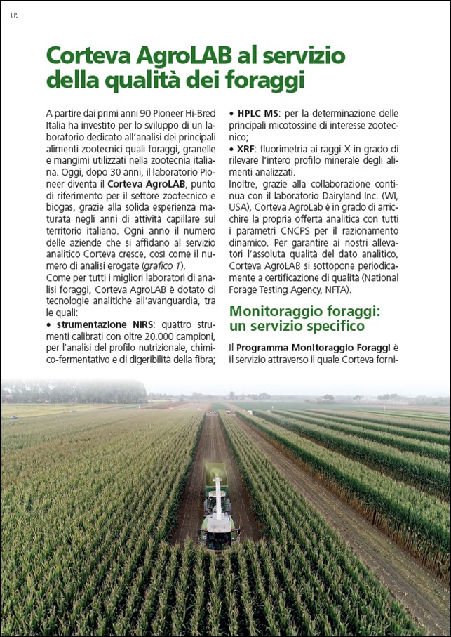 Immagine di anteprima dell'articolo