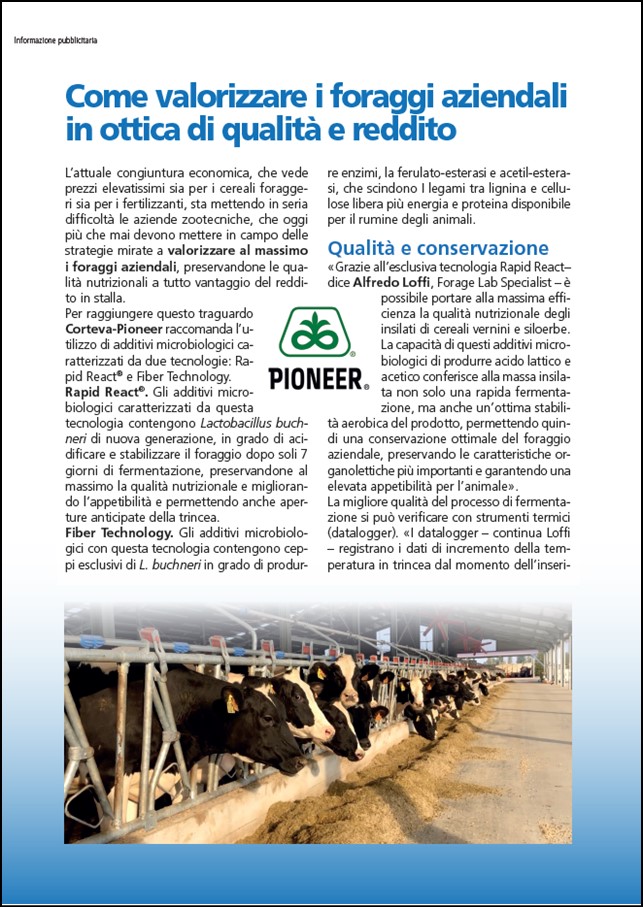 Immagine di anteprima dell'articolo