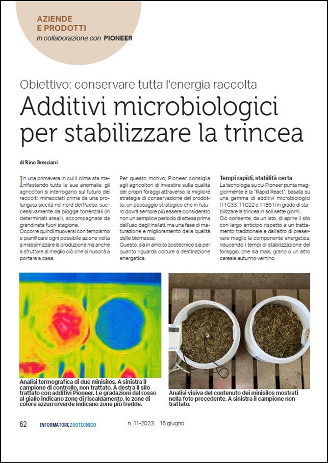 Immagine di anteprima dell'articolo