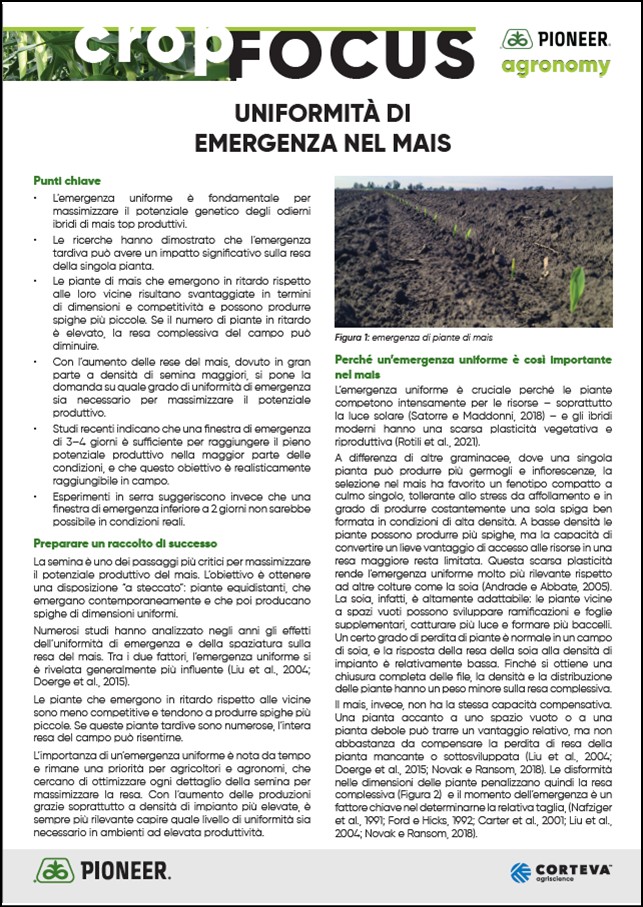 Immagine di anteprima dell'articolo