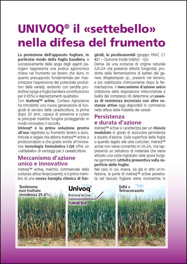 Immagine di anteprima dell'articolo