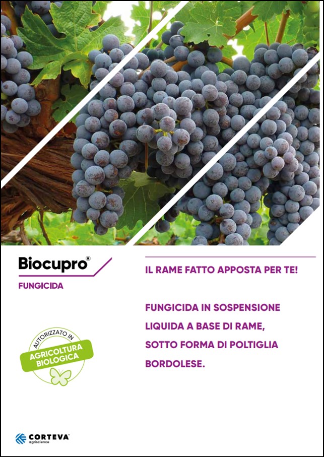 Anteprima della brochure del fungicida Biocupro