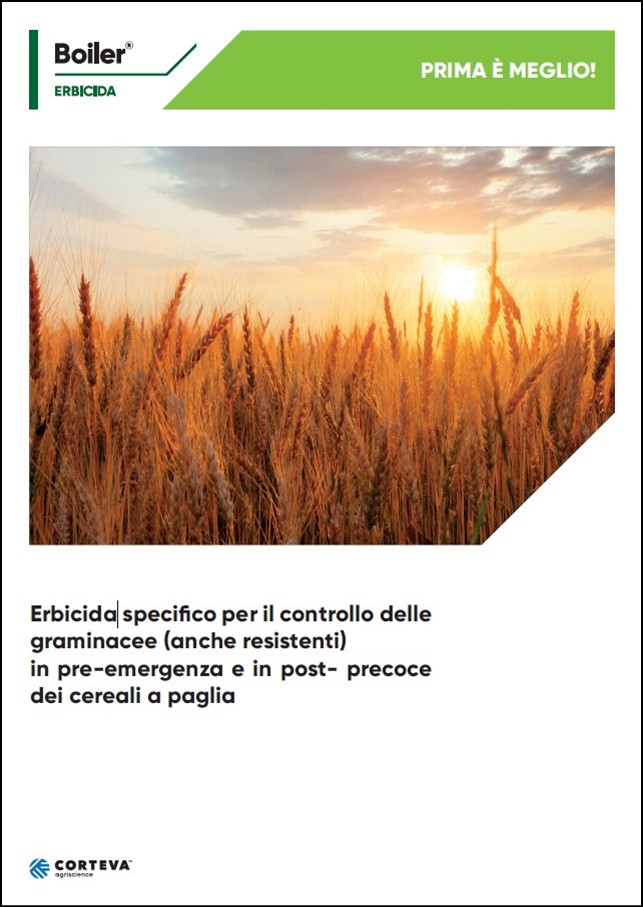Anteprima della brochure dell'erbicida Boiler