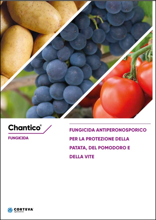Anteprima della brochure del fungicida Chantico