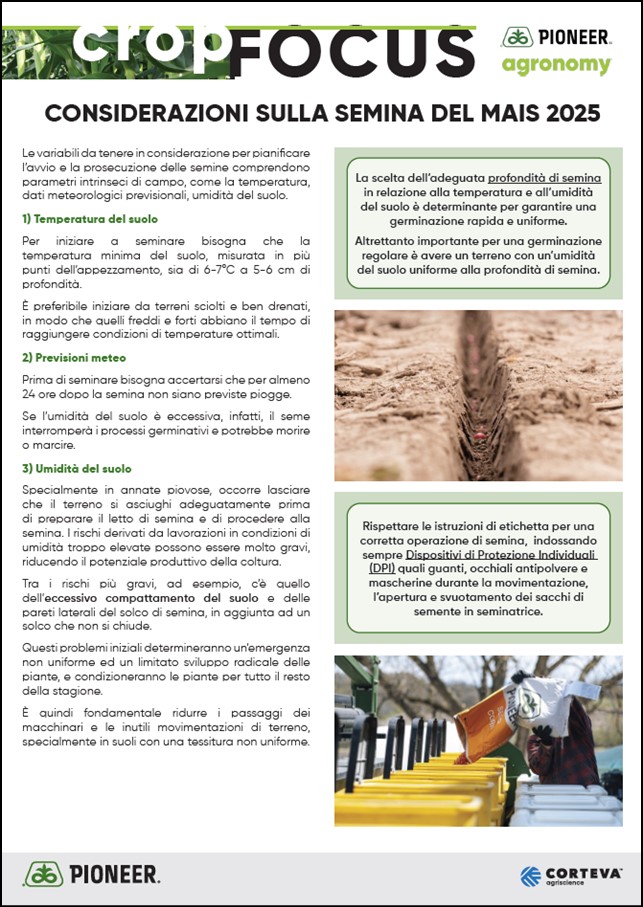 Immagine di anteprima dell'articolo