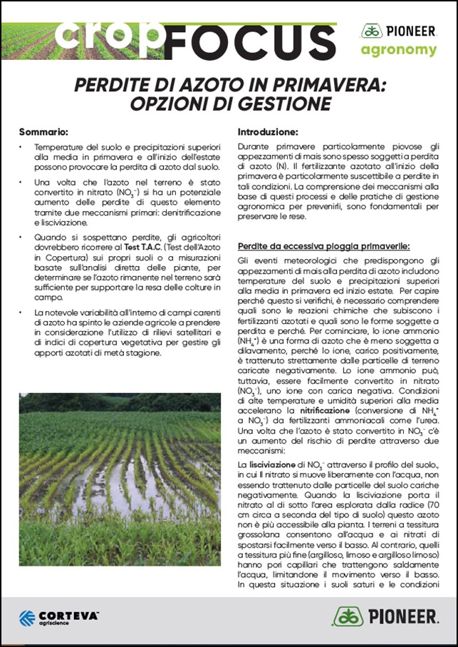 Immagine di anteprima dell'articolo