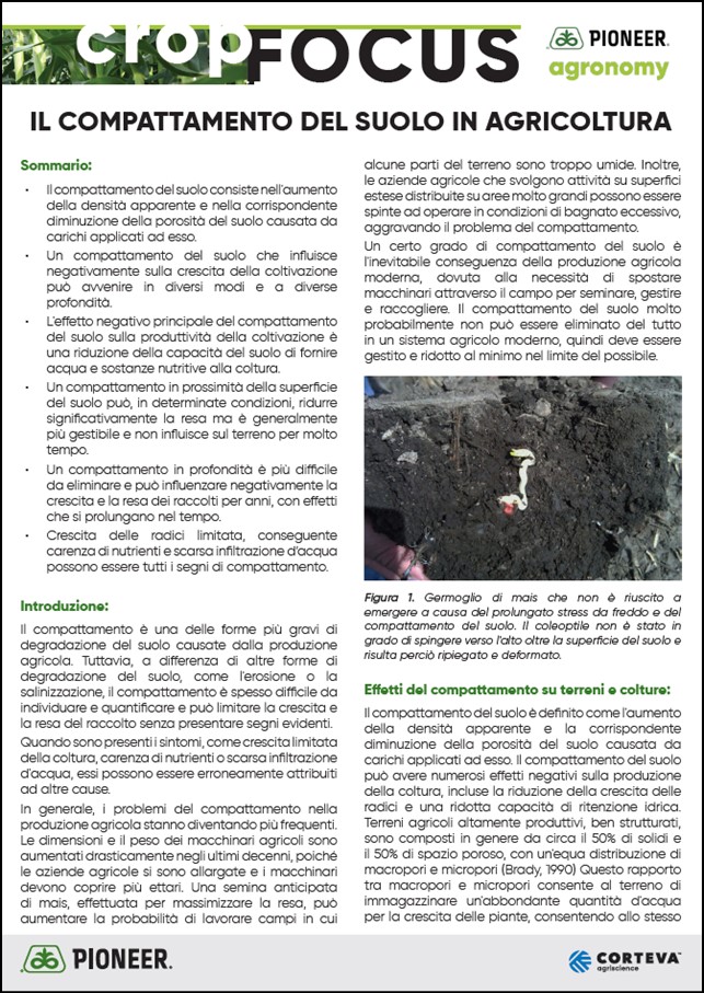 Immagine di anteprima dell'articolo