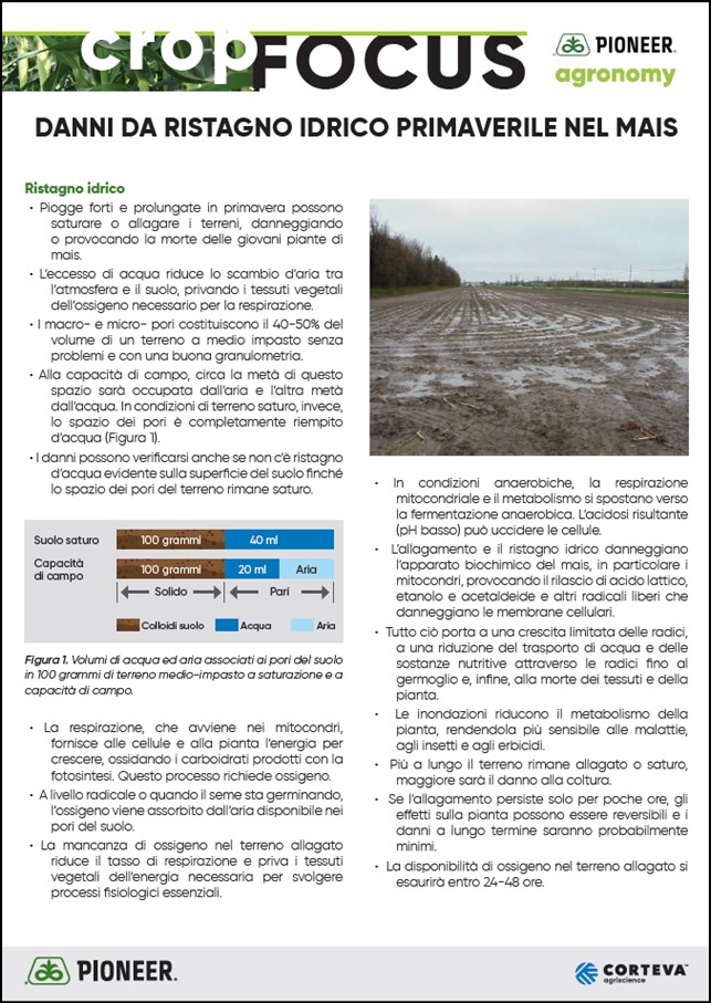 Immagine di anteprima dell'articolo